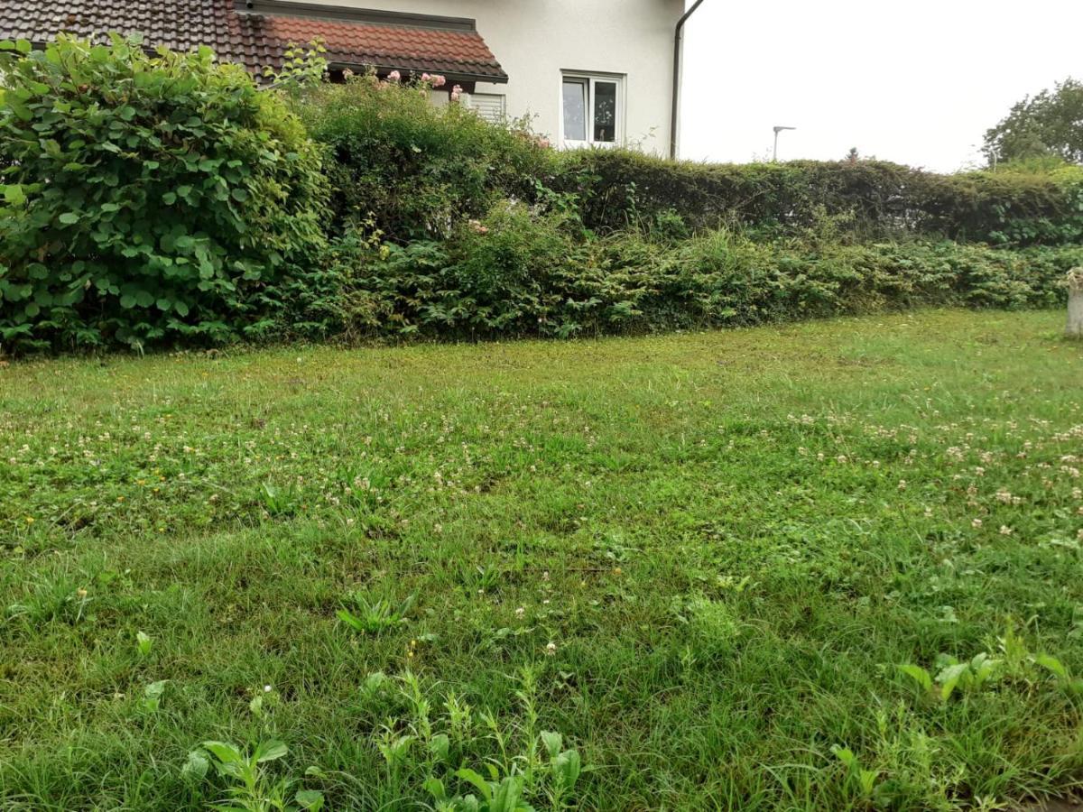 Ferienwohnung Am Kurpark, Gailingen Buitenkant foto